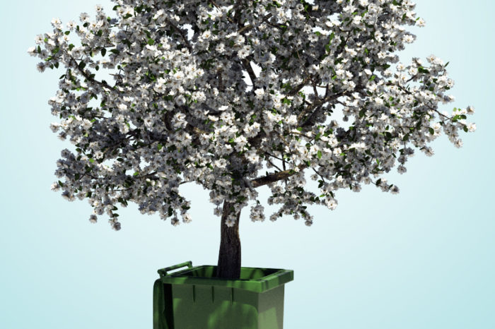 Der schmale Grat - Nachhaltigkeit in kleinen Unternehmen