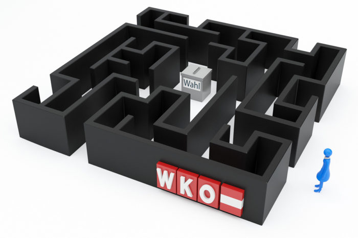 WKO-Wahl 2015: EPU im Fokus