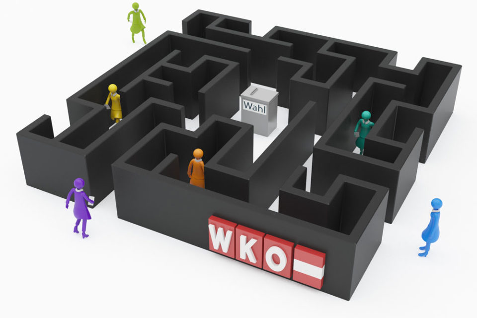 WKO Wahl Illu2