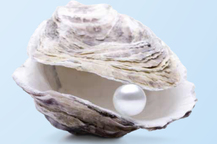 In jedem Unternehmen schlummern verborgene Potenziale