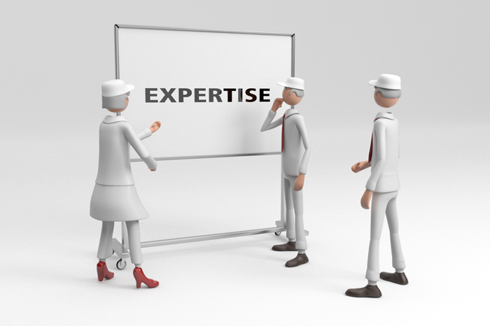 Wie wird man Seniorexpert?