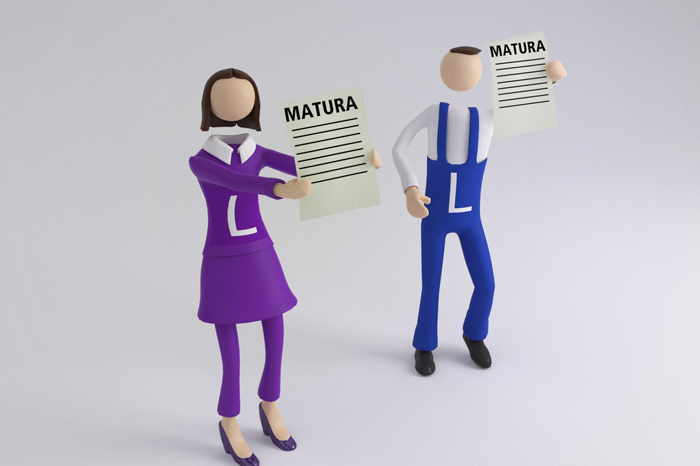 Lehre mit Matura - Lehre mit Grips