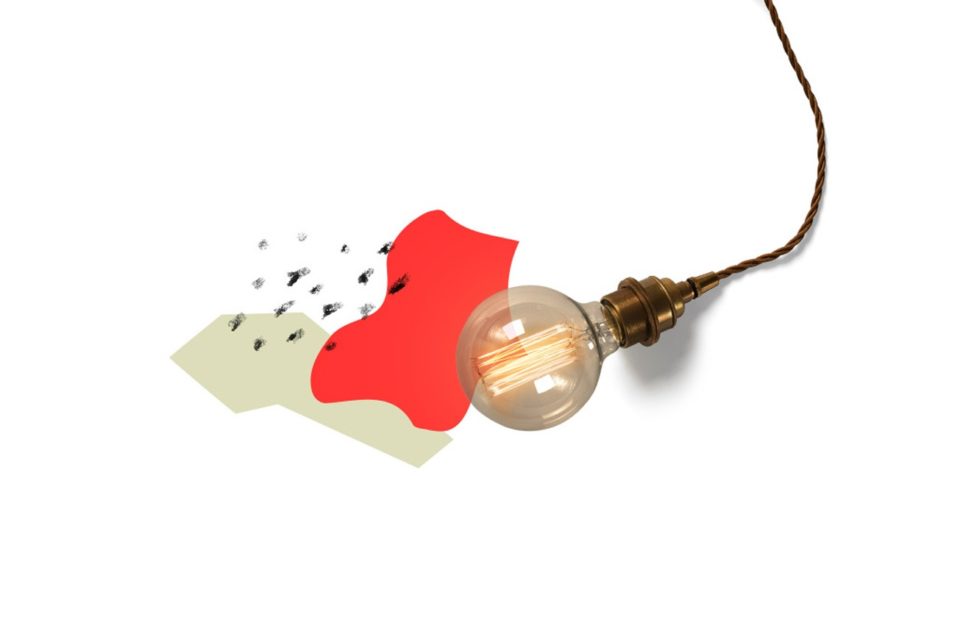 energie artikelgrafiken