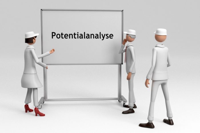 Die Persönlichkeitsanalyse im Firmen-Übergabeprozess