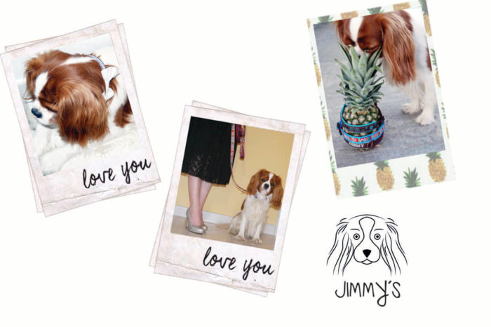 Handgemachte Unikate für vier Pfoten