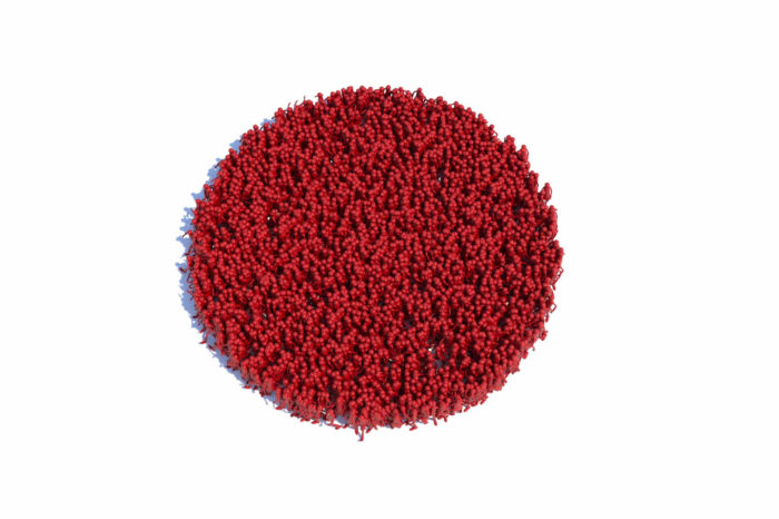 Japangeschäfte 2019 – Auf den Punkt gebracht Teil 1