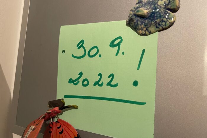 Phase 2 – Ratenzahlung bei Gesundheitskassen